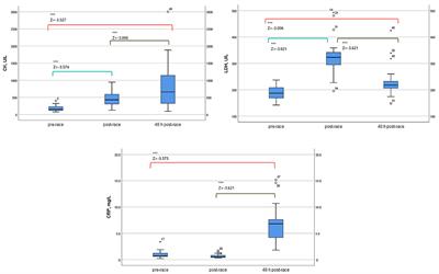 Marathon Running Increases Synthesis and Decreases Catabolism of Joint Cartilage Type II Collagen Accompanied by High-Energy Demands and an Inflamatory Reaction